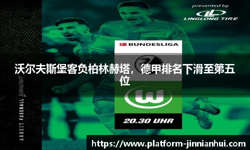 金年会体育app